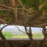Podere Piccini With Pool In Val D'orcia-tuscany Вилла